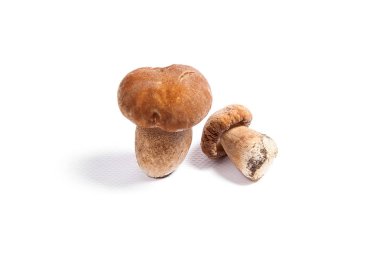 Şaşırtıcı yenilebilir mantar boletus mantarı sonbahar hasat (Kral bolete) izole üzerinde beyaz arka plan porcini mantar olarak bilinen