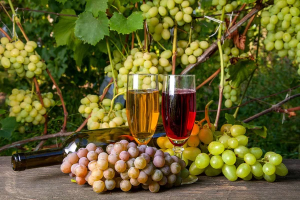 ぶどうと白ワインを ぶどう畑の背景にヴィンテージの木製の背景の空のボトル嘘 背景としてブドウの葉を持つ枝にブドウの緑と黄色の果実の房 — ストック写真