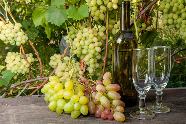 Dois Copos Vazios Cachos Uvas Garrafa Vinho Branco Fundo Madeira — Fotografia de Stock