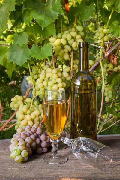 Glas Vitt Vin Och Tomma Glas Druvor Gäng Och Flaska — Stockfoto