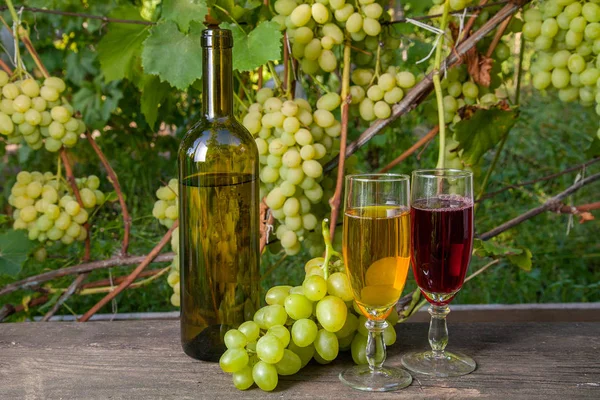 赤と白のブドウでワインを ぶどう畑の背景にヴィンテージの木製の背景の上にワインの瓶 背景としてブドウの葉を持つ枝にブドウの緑と黄色の果実の房 — ストック写真