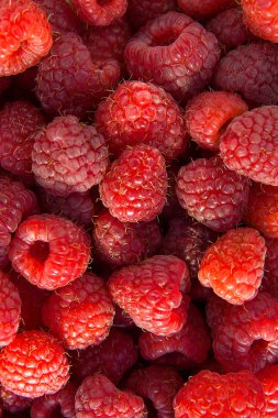 Olgun Kırmızı Ahududu arka plan olarak bir sürü. Taze organik tatlı meyveler yakın çekim.