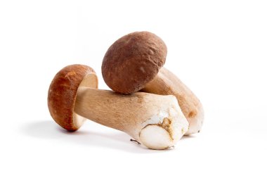 Şaşırtıcı yenilebilir mantar boletus mantarı sonbahar hasat (Kral bolete) izole üzerinde beyaz arka plan porcini mantar olarak bilinen