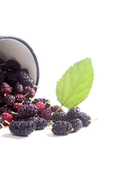 White Cup Fresh Sweet Black Mulberry Berries Green Leaf Mulberry — Stock Photo, Image