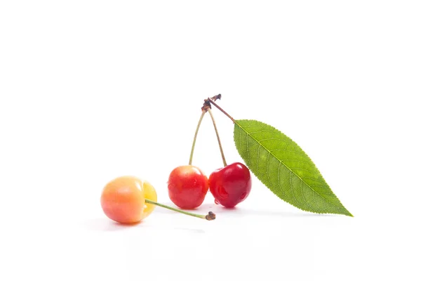 Bayas Cerezas Amarillas Dulces Con Hoja Verde Cerezo Sobre Fondo — Foto de Stock