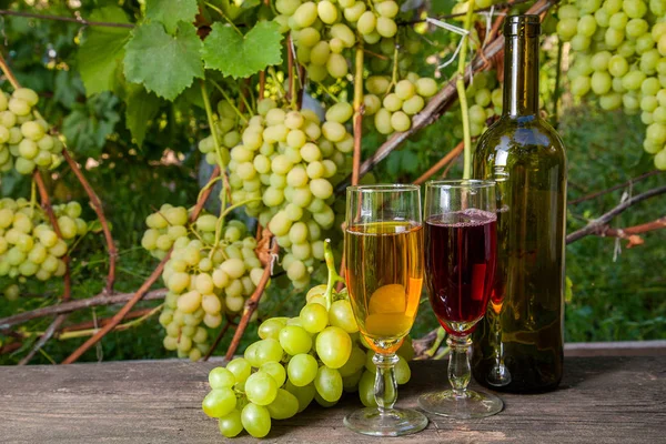 Two Glasses Red White Wine Grapes Bunches Bottle Wine Vintage — Stock Photo, Image