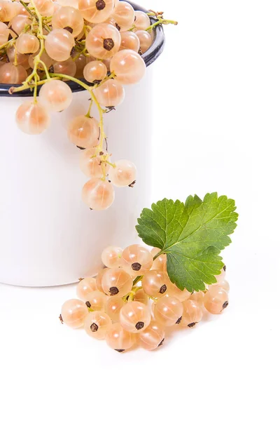Close up view of white cup with white currant berry isolated on white background. A white cup with white currant berry and small bunch of white currant with small green leaf of currant bush in front of cup