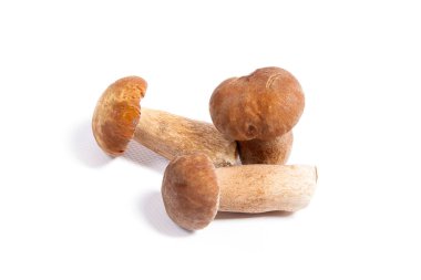 Şaşırtıcı yenilebilir mantar boletus mantarı sonbahar hasat (Kral bolete) izole üzerinde beyaz arka plan porcini mantar olarak bilinen