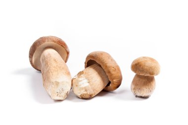 Şaşırtıcı yenilebilir mantar boletus mantarı sonbahar hasat (Kral bolete) izole üzerinde beyaz arka plan porcini mantar olarak bilinen