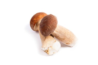 Şaşırtıcı yenilebilir mantar boletus mantarı sonbahar hasat (Kral bolete) izole üzerinde beyaz arka plan porcini mantar olarak bilinen
