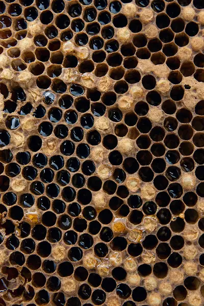 甘い蜂蜜とハニカムのビューを閉じます ヴィンテージの木製の背景の上に甘い蜂蜜黄色いハチの巣状の部分 — ストック写真