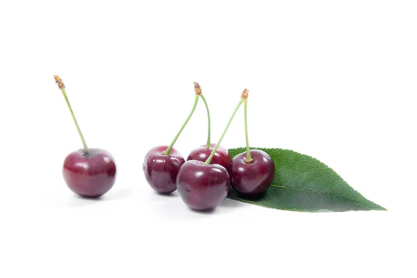 Mogna Bär Röd Sweet Cherry Vit Bakgrund — Stockfoto