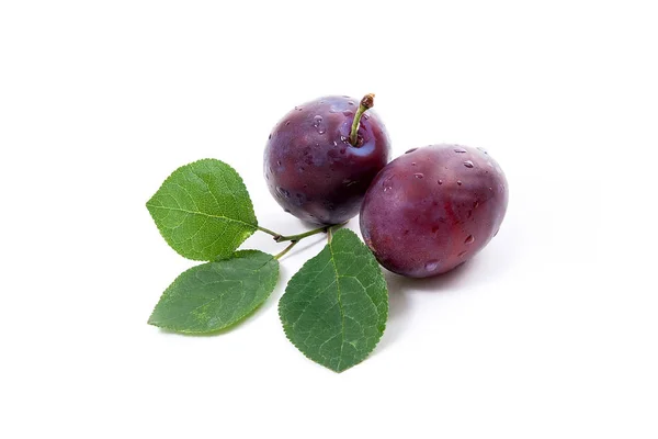 Two Sweet Juicy Plums Big Green Leaf Isolated White Background — Stock Photo, Image