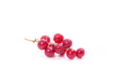 Beyaz arka plan üzerinde izole kırmızı kuş üzümü berry görünümünü kapat