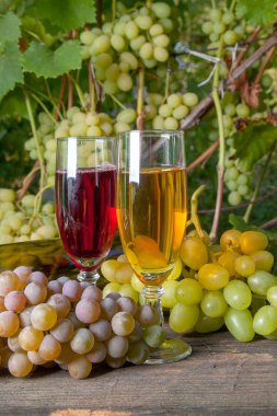 İki bardak beyaz şarap üzüm ile demetleri, boş şişe yalan bağ arka plan üzerinde vintage ahşap arka plan üzerine. Demet yeşil ve sarı çilek üzüm dalı ile bağ arka plan olarak yapraklarda