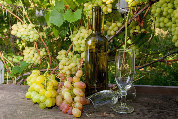 つの空のグラス ブドウの房とブドウ畑の背景にヴィンテージの木製の背景に白ワインのボトル 背景としてブドウの葉を持つ枝にブドウの緑と黄色の果実の房 — ストック写真