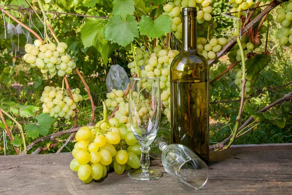つの空のグラス ブドウの房とブドウ畑の背景にヴィンテージの木製の背景に白ワインのボトル 背景としてブドウの葉を持つ枝にブドウの緑と黄色の果実の房 — ストック写真