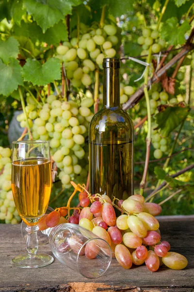 白ワインと空のグラス ブドウの束とブドウ畑の背景にヴィンテージの木製の背景にワインのボトルのガラス 背景としてブドウの葉を持つ枝にブドウの緑と黄色の果実の房 — ストック写真