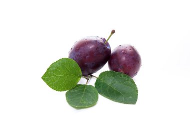 Beyaz bir arka plan üzerinde izole büyük yeşil yaprak iki tatlı sulu Erik