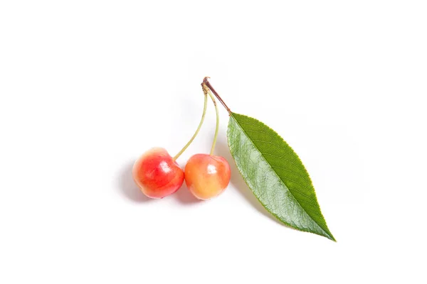 Baies Cerises Douces Jaunes Avec Feuille Verte Cerisier Sur Fond — Photo