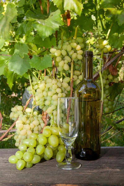 Copo Vinho Vazio Cacho Uvas Garrafa Vinho Branco Fundo Madeira — Fotografia de Stock