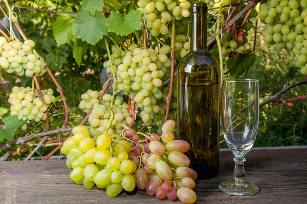 空のワイングラス ブドウの束とブドウ畑の背景にヴィンテージの木製の背景に白ワインのボトル 背景としてブドウの葉を持つ枝にブドウの緑と黄色の果実の房 — ストック写真