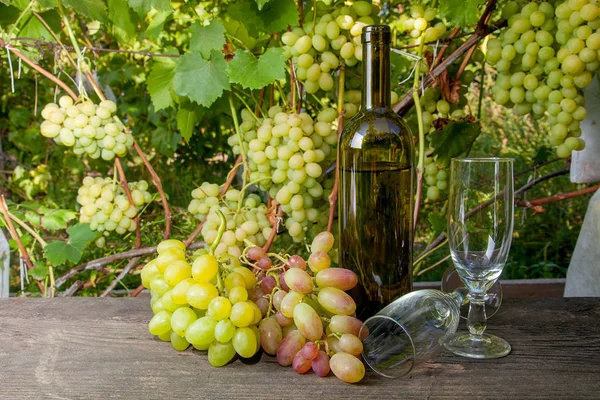 Dois Copos Vazios Cachos Uvas Garrafa Vinho Branco Fundo Madeira — Fotografia de Stock