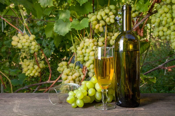 Glas Vitt Vin Och Tomma Glas Druvor Gäng Och Flaska — Stockfoto