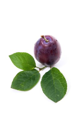 Tatlı sulu Erik su damlaları ve beyaz arka plan üzerinde izole büyük yaprak yeşil