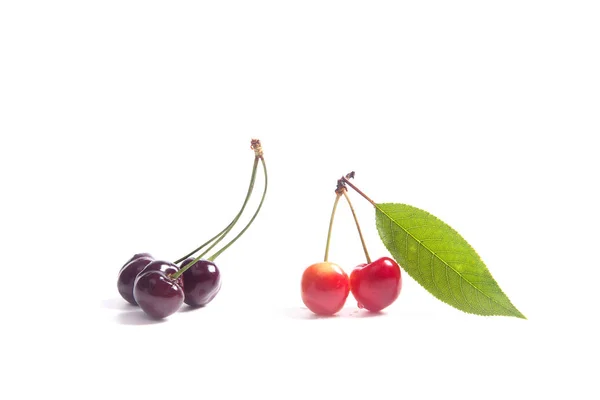 Bär Röda Och Gula Sötkörsbär Med Gröna Blad Körsbärsträd Vita — Stockfoto