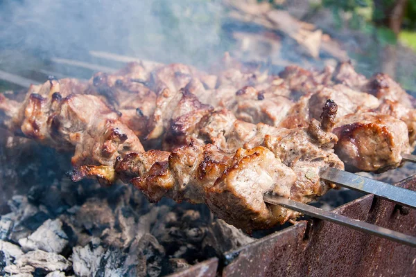 Metal şiş üzerinde yemek ızgara kebap. Şaşlık küpleri et mangal üzerinde kömür açık havada yemek sırasında şiş üzerinde yapılmış. Panjur kömür ve alev, piknik, sokak gıda
