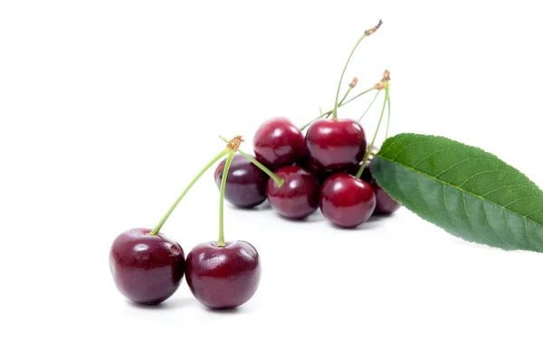 Mogna Bär Röd Sweet Cherry Vit Bakgrund — Stockfoto