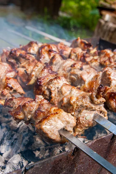 金属の焼串料理ケバブ シャシリクは マンガル屋外炭火料理の中に串に刺した肉のキューブから成っています 炭と炎 ピクニック ストリート フード グリルします — ストック写真