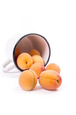 Hasat kayısı ile bütünleşmiş ve yarıya kayısı o beyaz Kupası