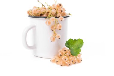 Beyaz kuş üzümü berry ve küçük demet whit ile beyaz Kupası