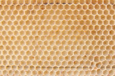 Balmumu petek arı kovanına vintage ahşap geri gelen bölümünü