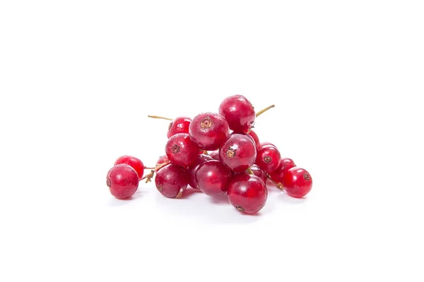 Rote Johannisbeere isoliert auf weiß. ein Bund roter Johannisbeeren — Stockfoto