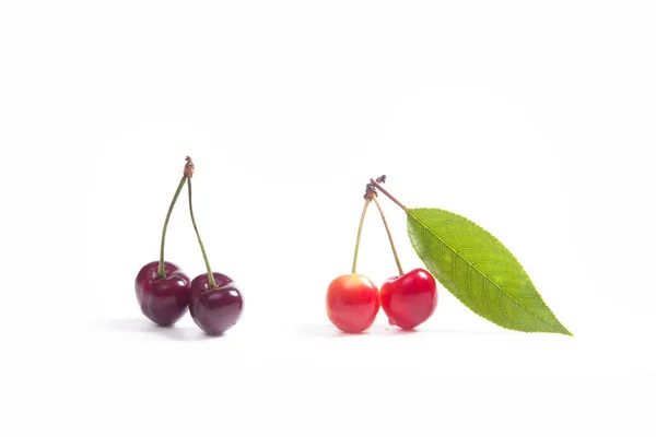 Cerise douce rouge et jaune avec isolat de feuilles vertes sur le blanc — Photo