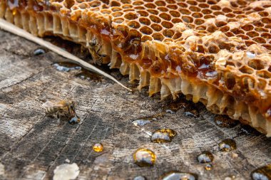 Balmumu petek arı kovanına vintage ahşap geri gelen bölümünü