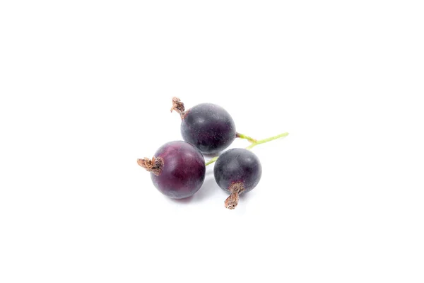 Black currant berry isolated on white. A bunch of black currant. — Stock Photo, Image