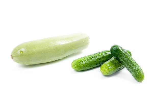 Frische grüne Zucchini und mehrere grüne Gurken auf weißem Backgro — Stockfoto