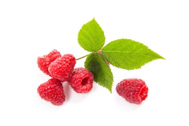 Olgun ahududu yaprağı üzerinde beyaz adam izole