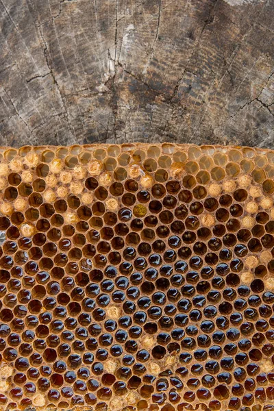 Zár megjelöl kilátás a méhsejt mézzel vintage háttér — Stock Fotó