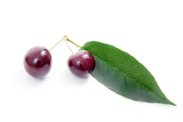 Sweet cherry isolerad på en vit bakgrund — Stockfoto
