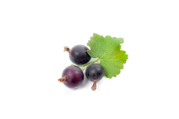 Black currant berry isolated on white. A bunch of black currant. — Stock Photo, Image