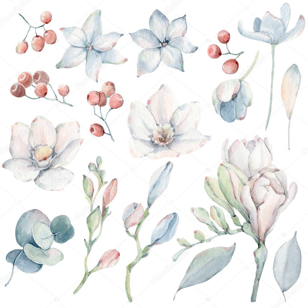 Handpainted watercolor flowers set in vintage style. It's perfect for greeting cards, wedding invitation, wedding design, birthday and moyhers day cards. Watercolor botanical illustration isolated on white background.