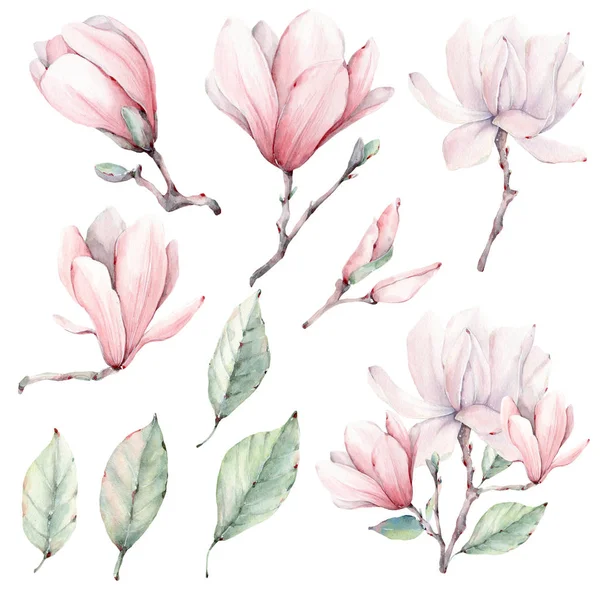 Akvarell Magnolia Blommor Set Perfekt För Gratulationskort Bröllopsinbjudan Bröllopsdesign Födelsedag — Stockfoto