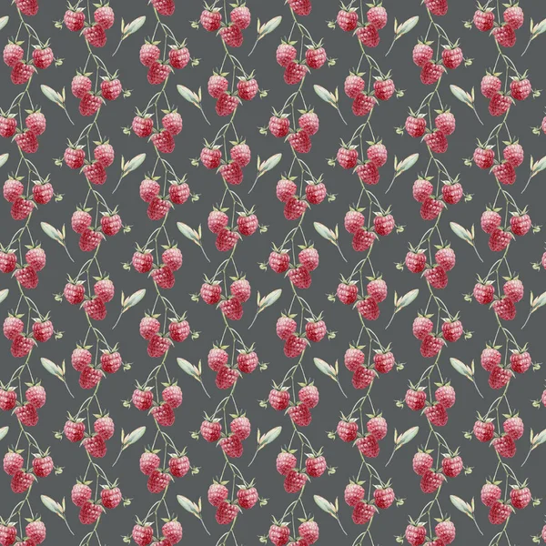 Watercolor Raspberry Seamless Pattern Watercolor Decoration Pattern Vintage Watecolor Background — Stock Photo, Image