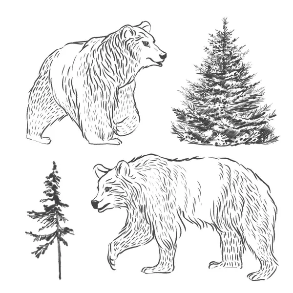 Grafický Medvěd Severské Stromy Ideální Pro Karty Plakáty Potisky — Stock fotografie