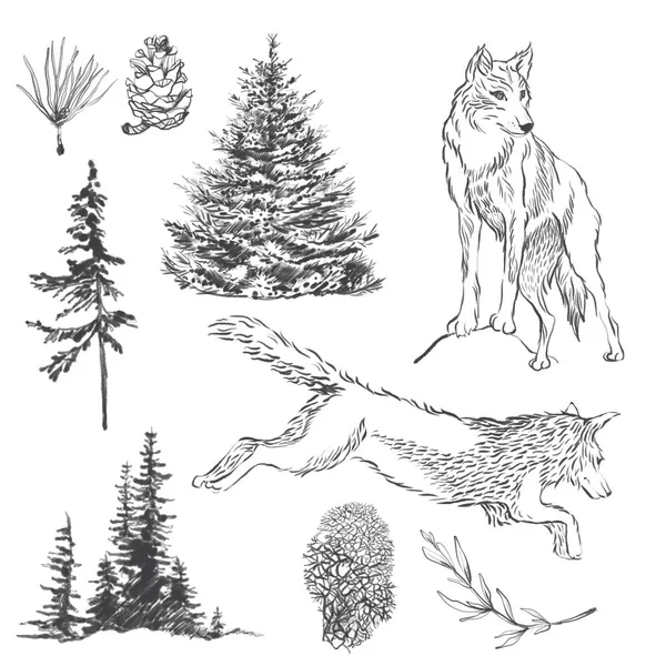Grafický Vlk Severské Stromy Ideální Pro Karty Plakáty Potisky — Stock fotografie